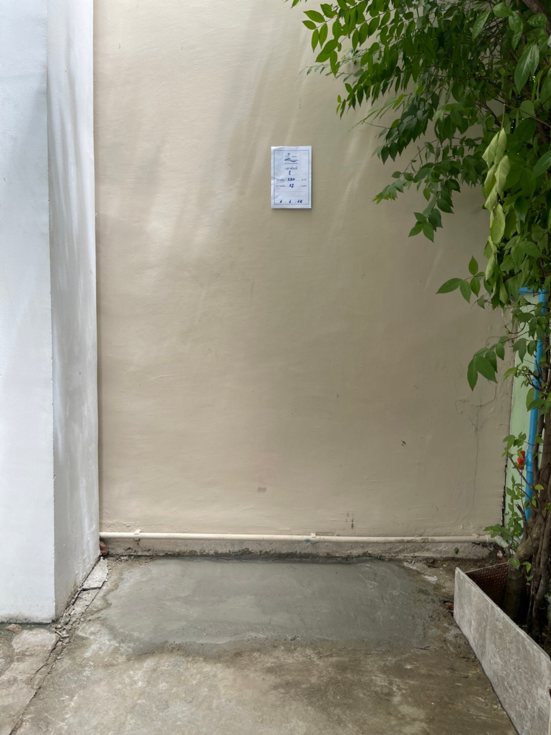Uretek photo